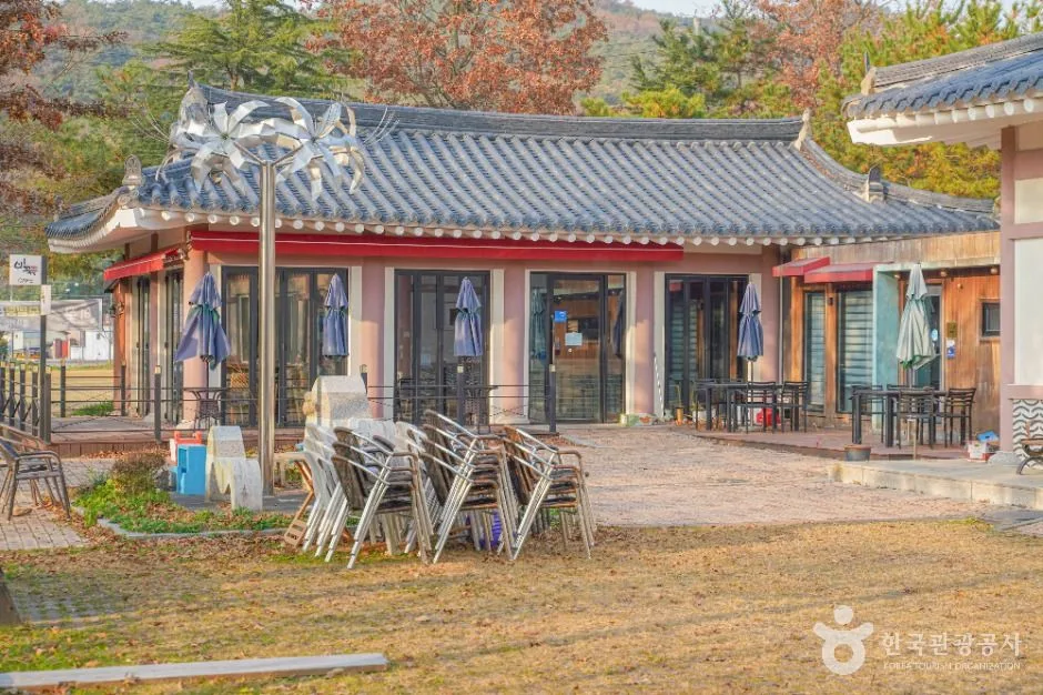 영광_상사화피는마을 (8)