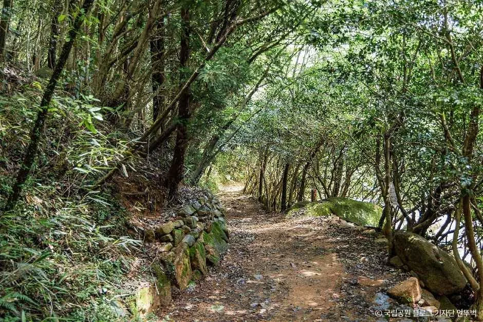 강진_월출산국립공원 경포대지구 (4).jpg