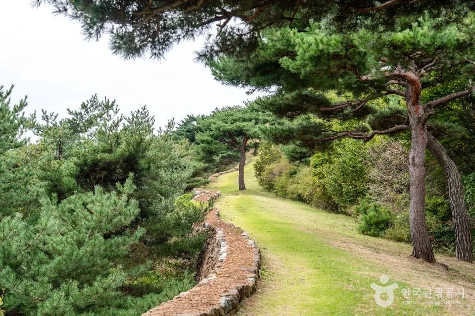 강화_정족산 (5)