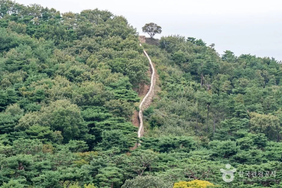 강화_정족산 (2)