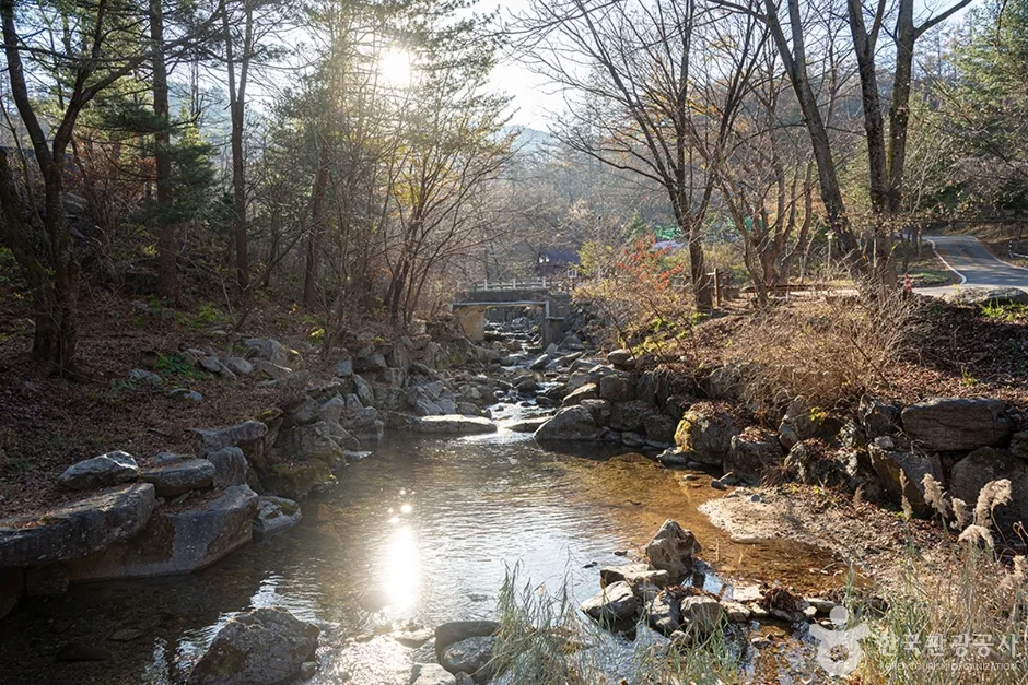 유명산계곡 (3)