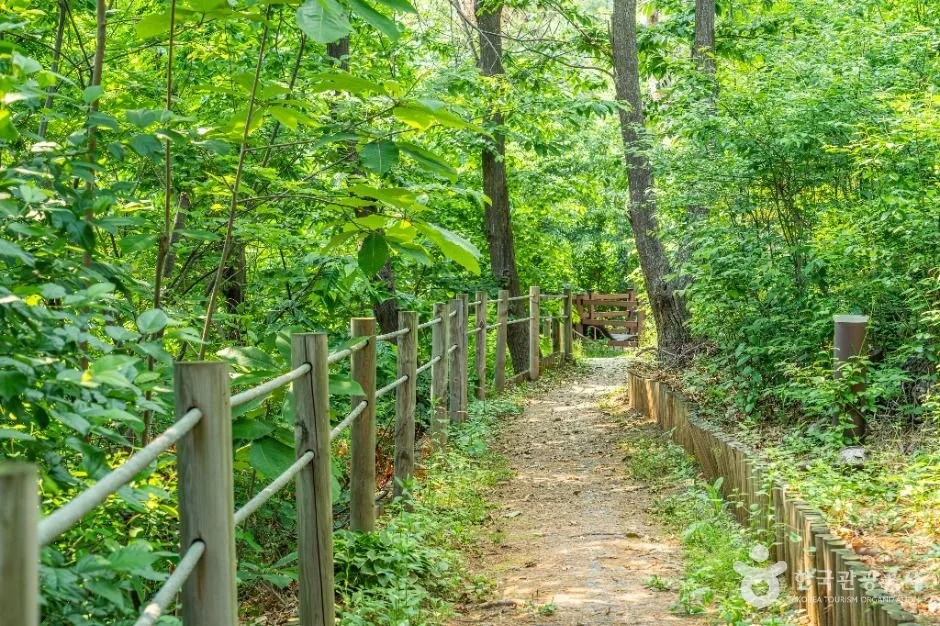 부천_역곡공원 (6)