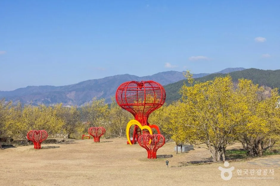 구례_구례 산수유마을 (2)