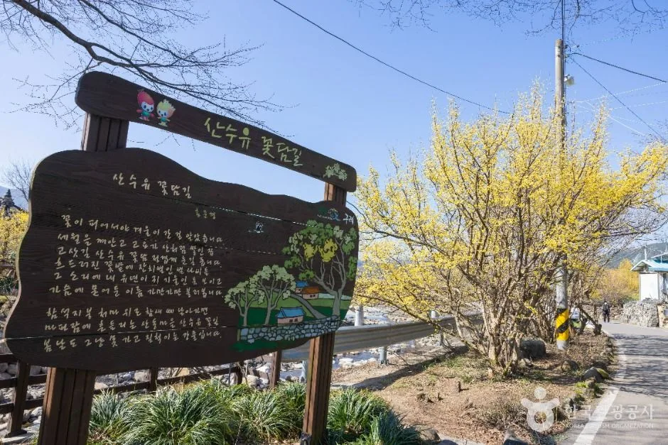 전남_구례_구례 산수유마을 _외부_5.jpg