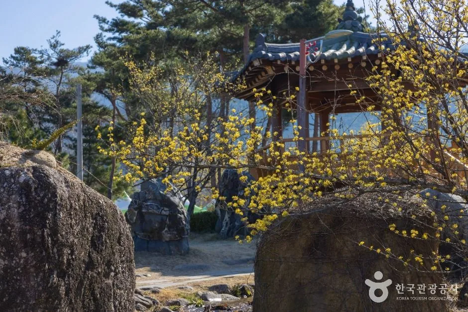 구례_구례 산수유마을 (1)