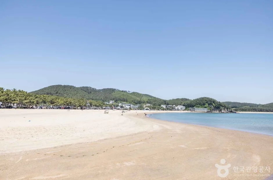 연포해수욕장 (12)