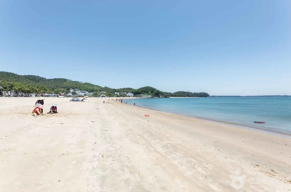 연포해수욕장 (1)