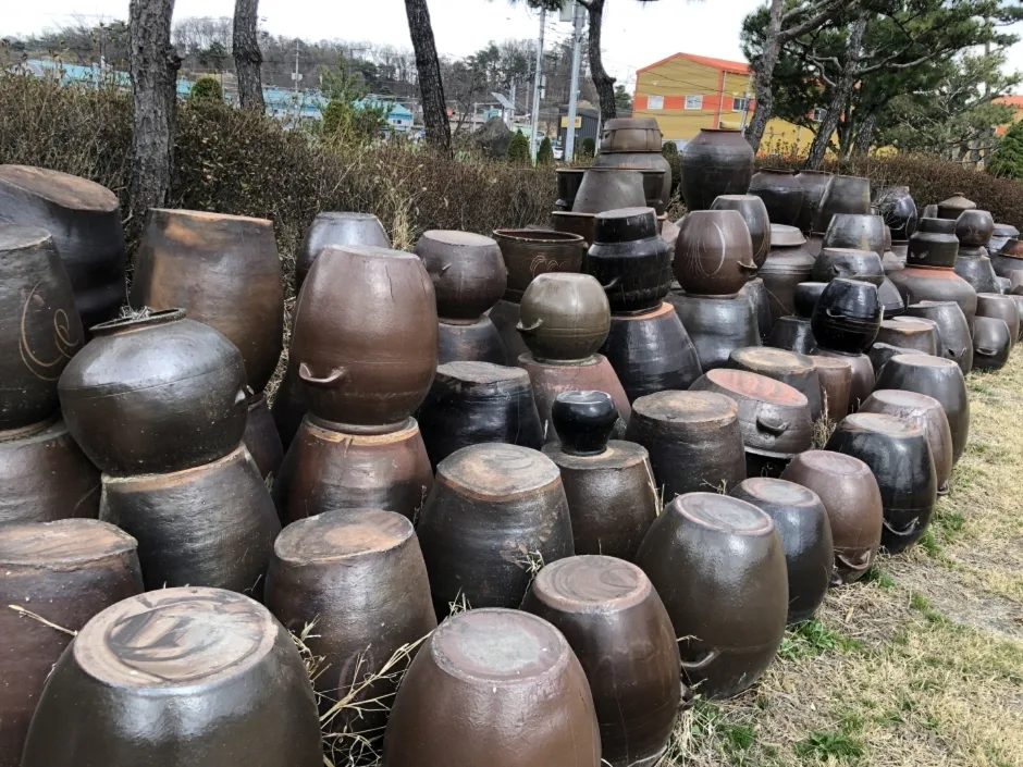 농심테마공원 (5)