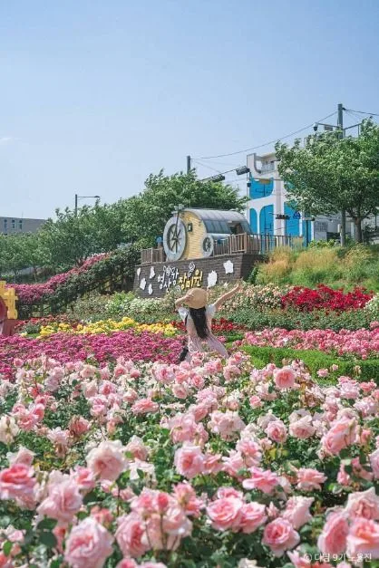 포항_형산강 장미원 (7)