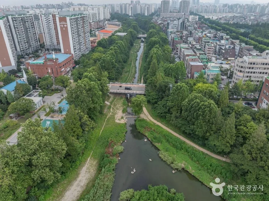 인천_굴포천 생태하천 (8)