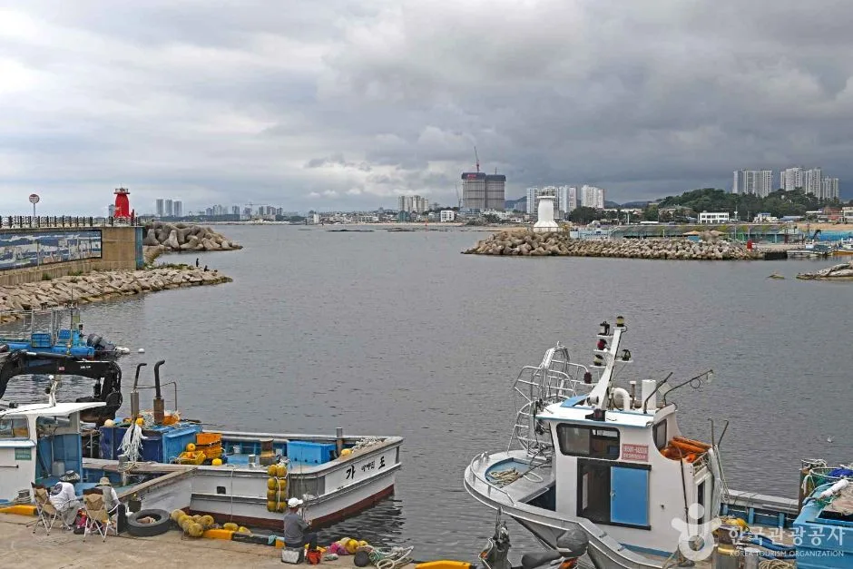 고성_아야진항 (4)