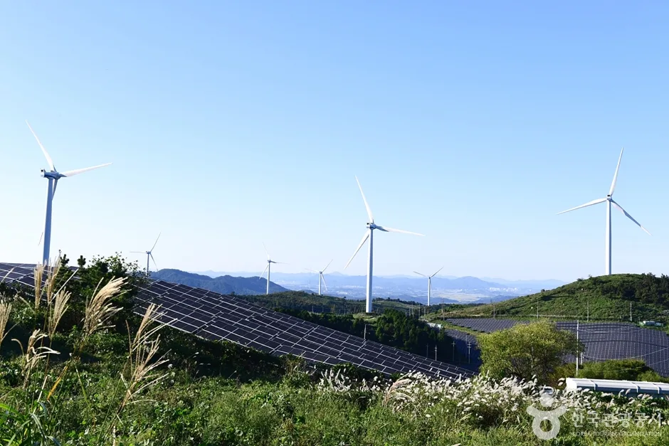 전남_영암_활성산 풍력발전단지 (7)