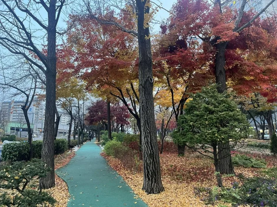 구로거리공원_외부4