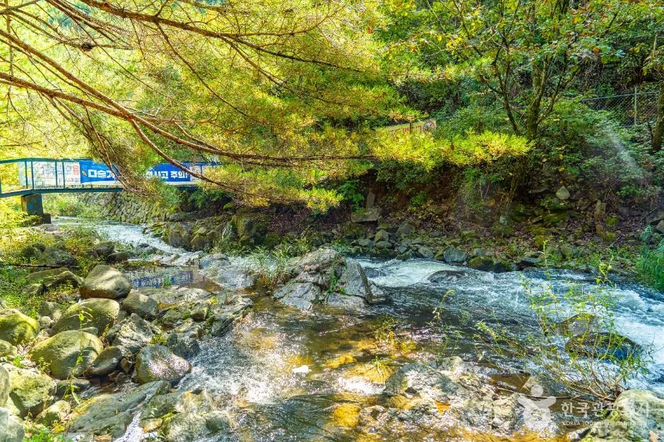 인제_내심적계곡 (4)