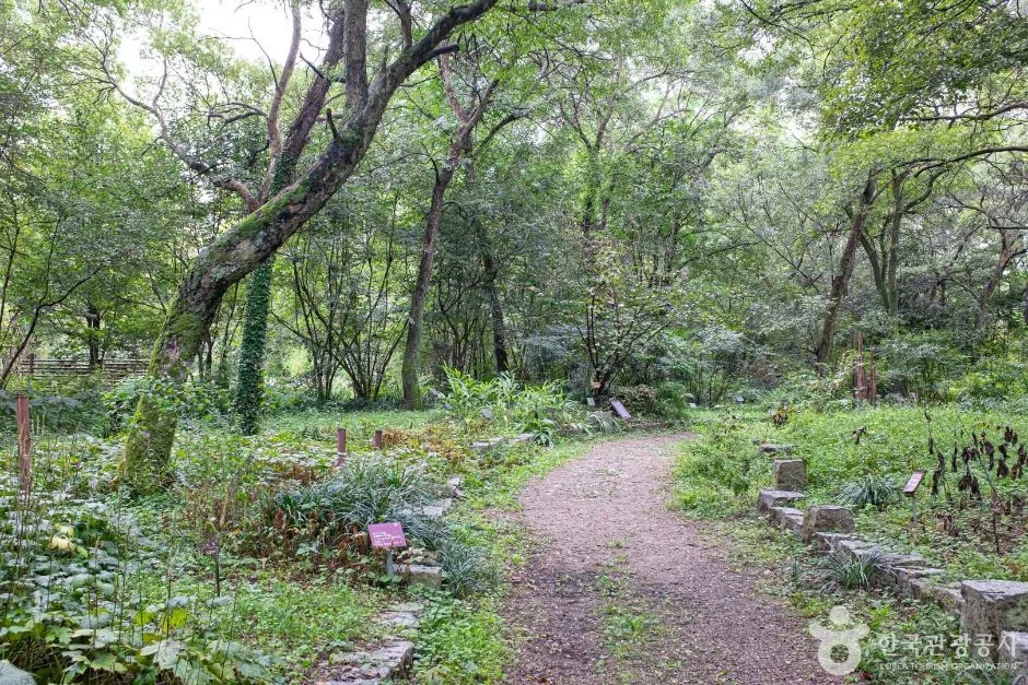 포항_기청산식물원 (10)