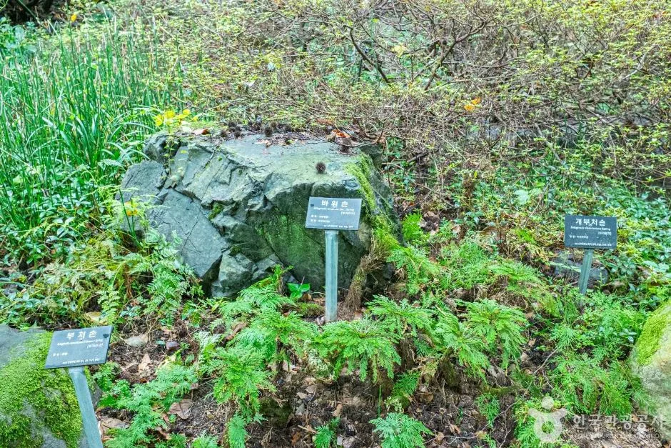 포항_기청산식물원 (6)
