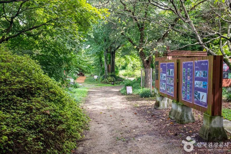 포항_기청산식물원 (3)