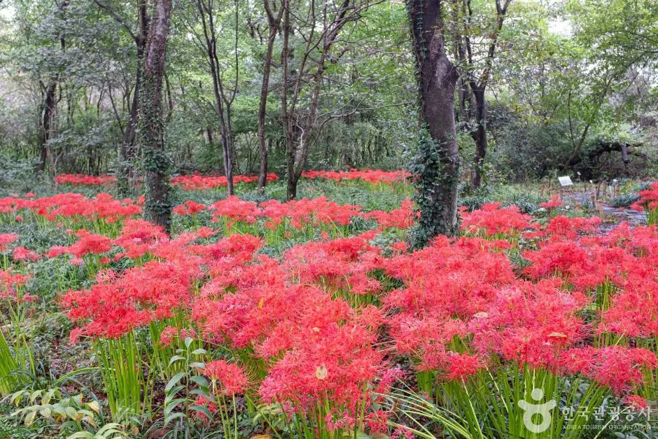 포항_기청산식물원 (2)