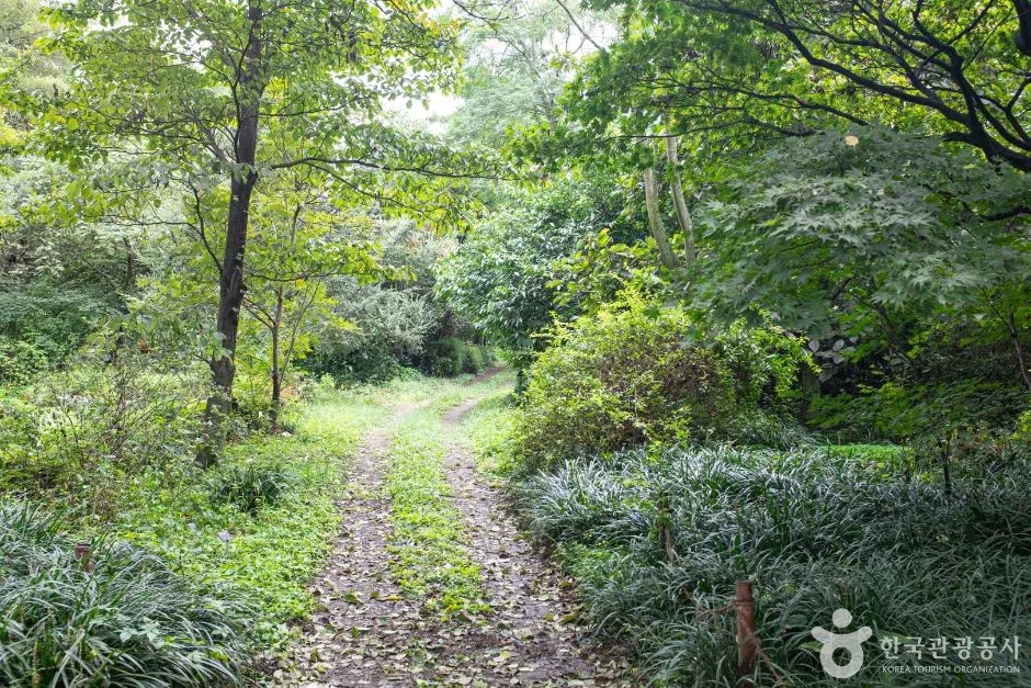 포항_기청산식물원 (8)