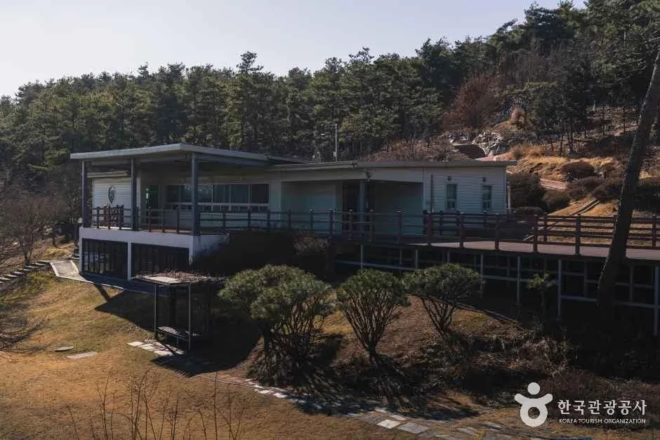 경기_화성_화성시 우리꽃 식물원_내부_2.jpg