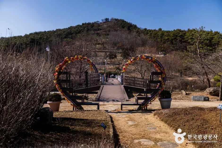 경기_화성_화성시 우리꽃 식물원_내부_4.jpg