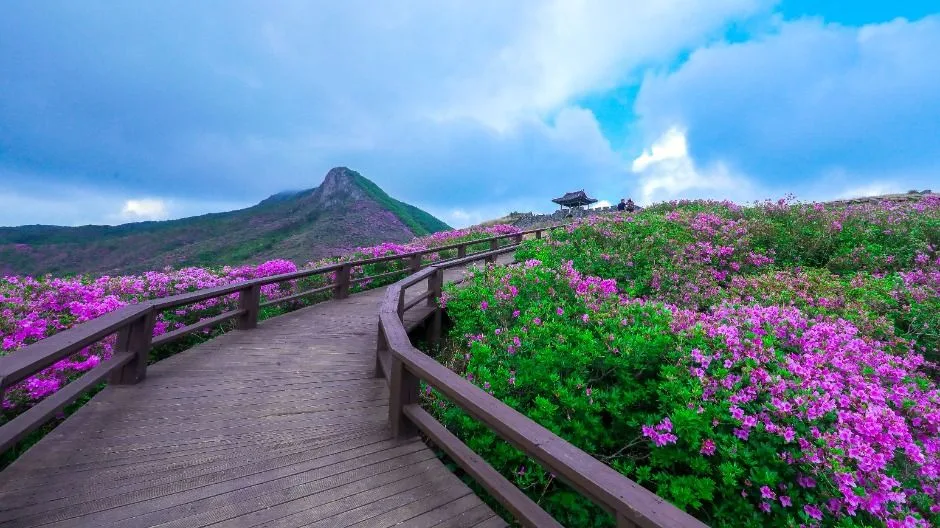 산청_황매산_황매산성_내부에서바라본정상-1.jpg