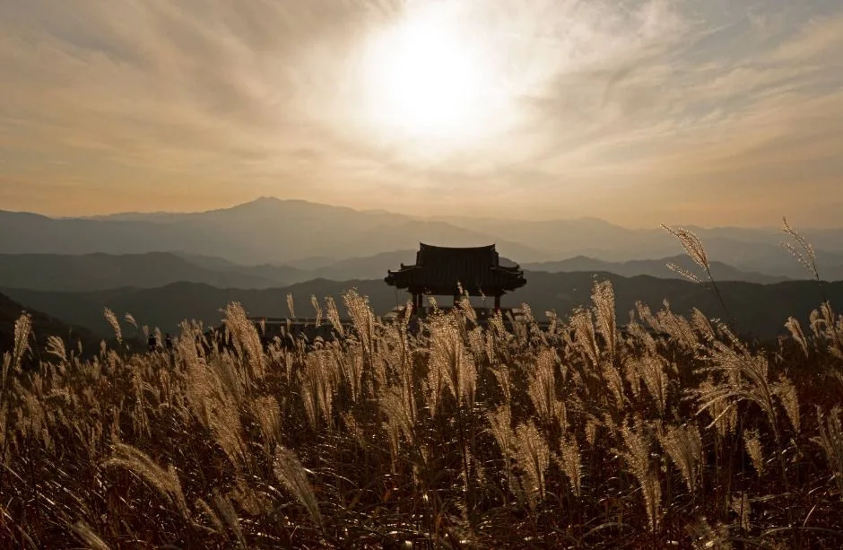 산청_황매산_황매평원_1-1.jpg