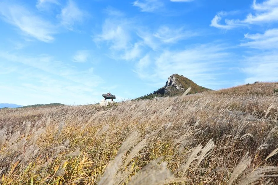 산청_황매산(산청) (1)