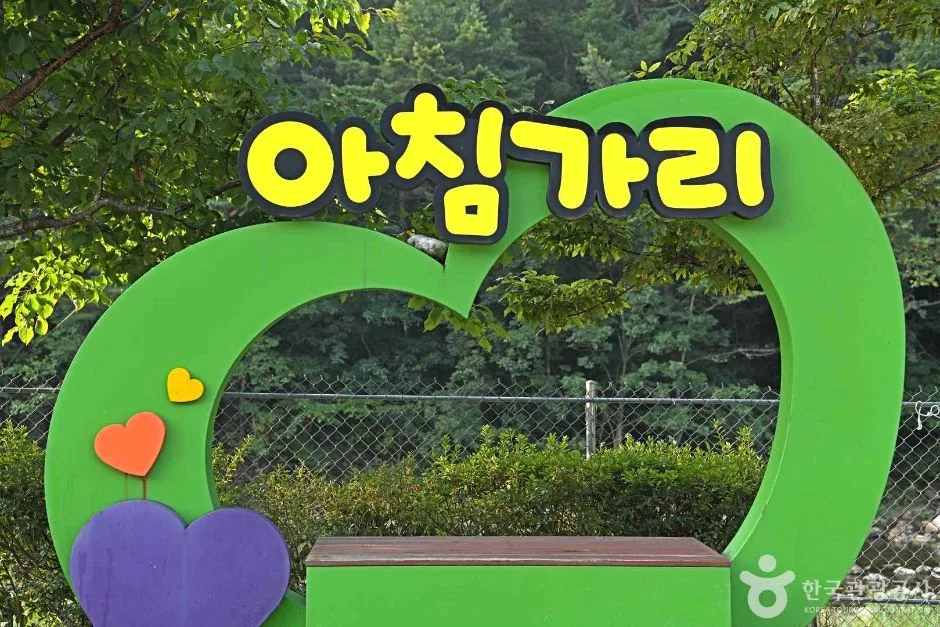 아침가리계곡 (3)