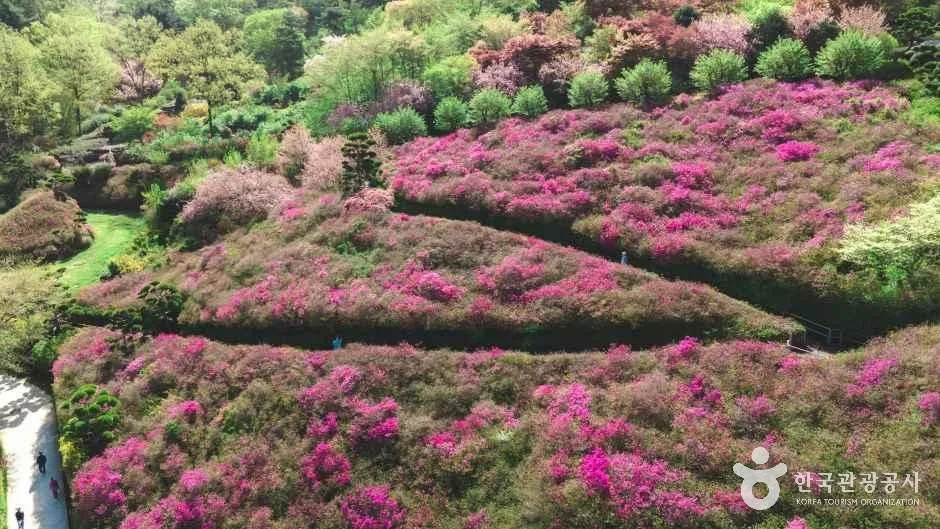완주 화산꽃동산 (6)