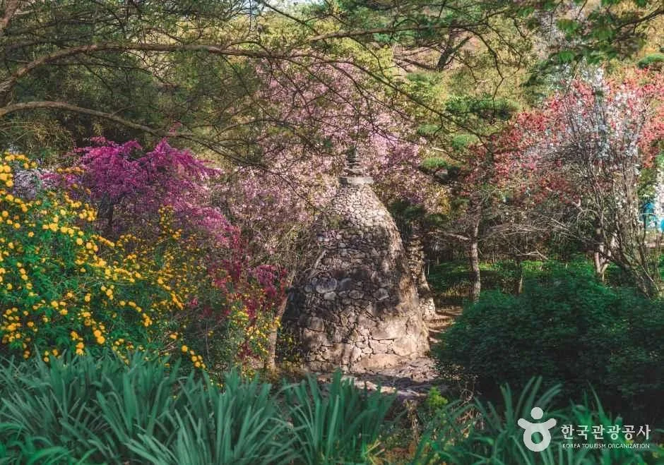 완주 화산꽃동산 (7)