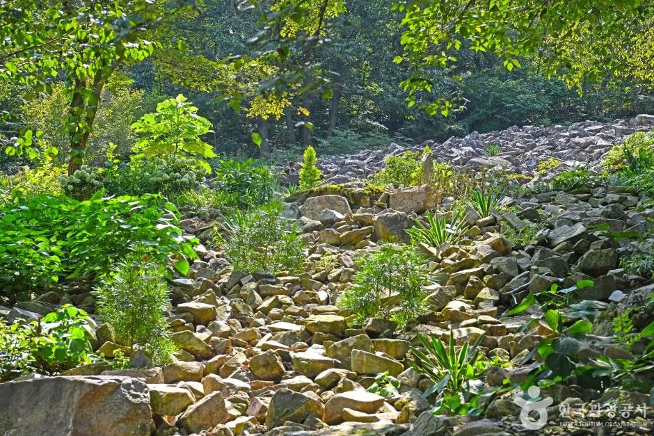 전북_완주_완주 화산꽃동산_산책로3.jpg