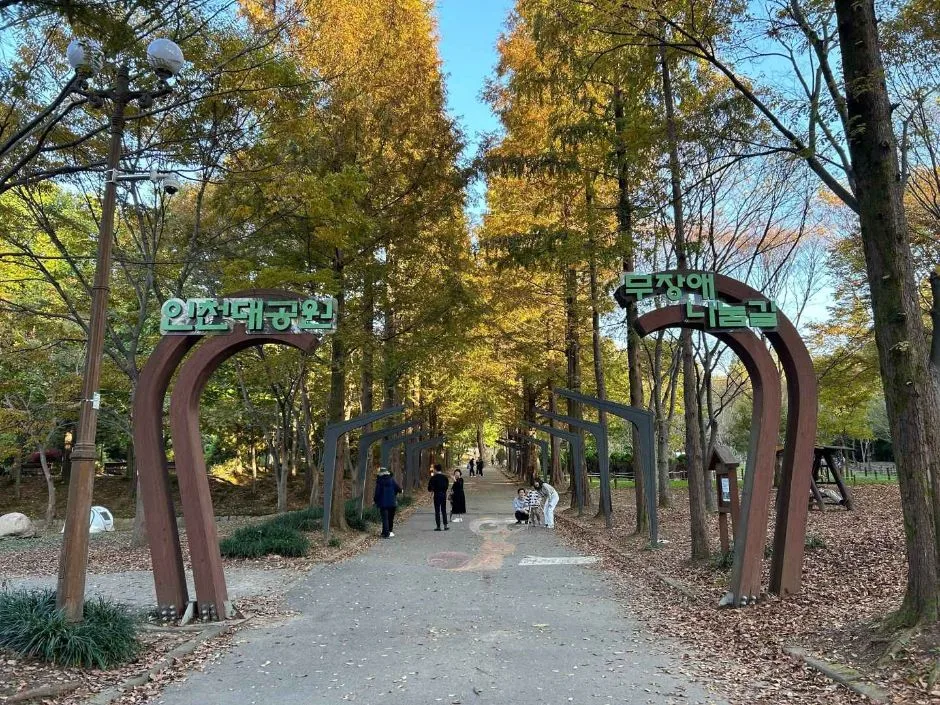 인천대공원치유숲길_데크로드 입구 경사로