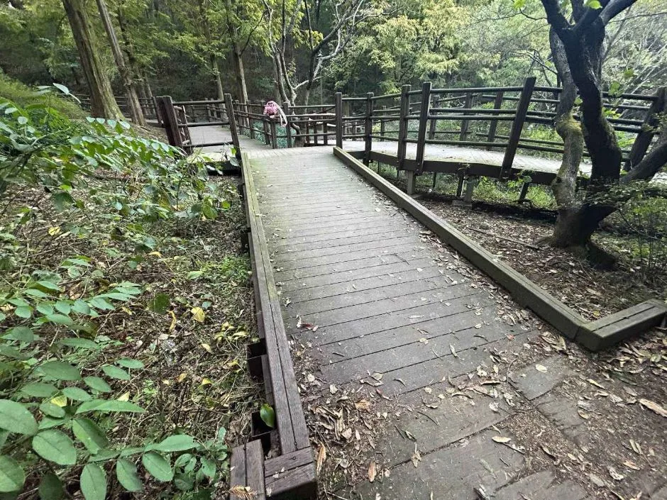 인천대공원치유숲길_무장애 나눔길