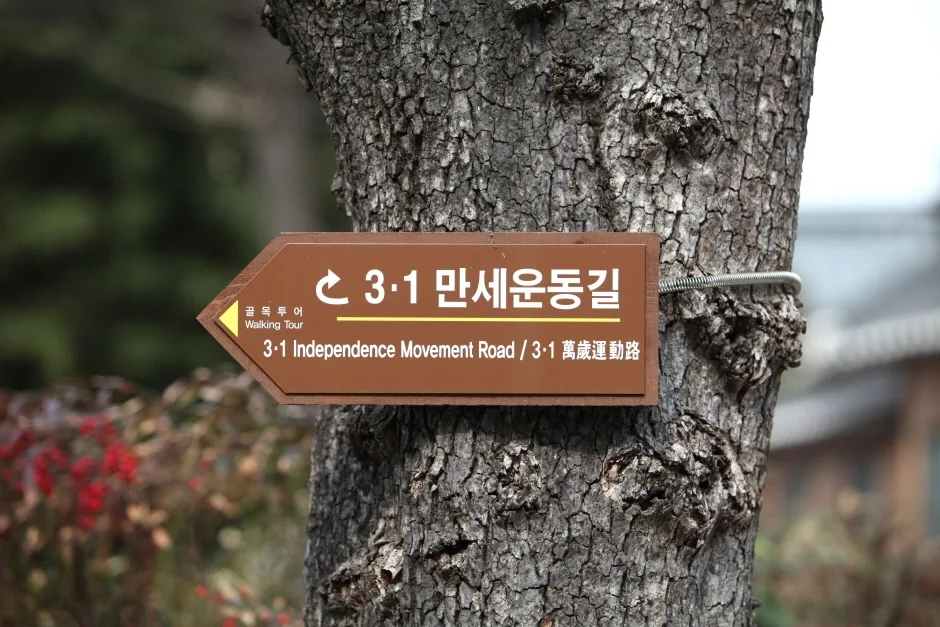 대구_3·1만세운동길 (6).jpg