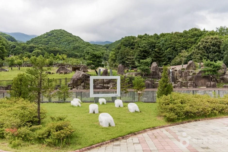 양구_산양증식복원센터 (3)