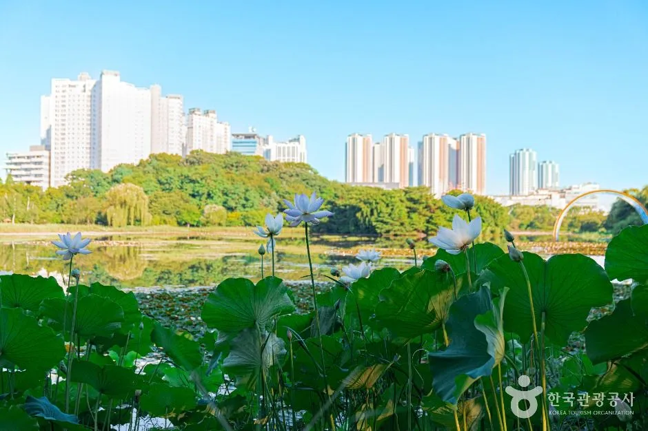 고양_일산호수공원 (5)