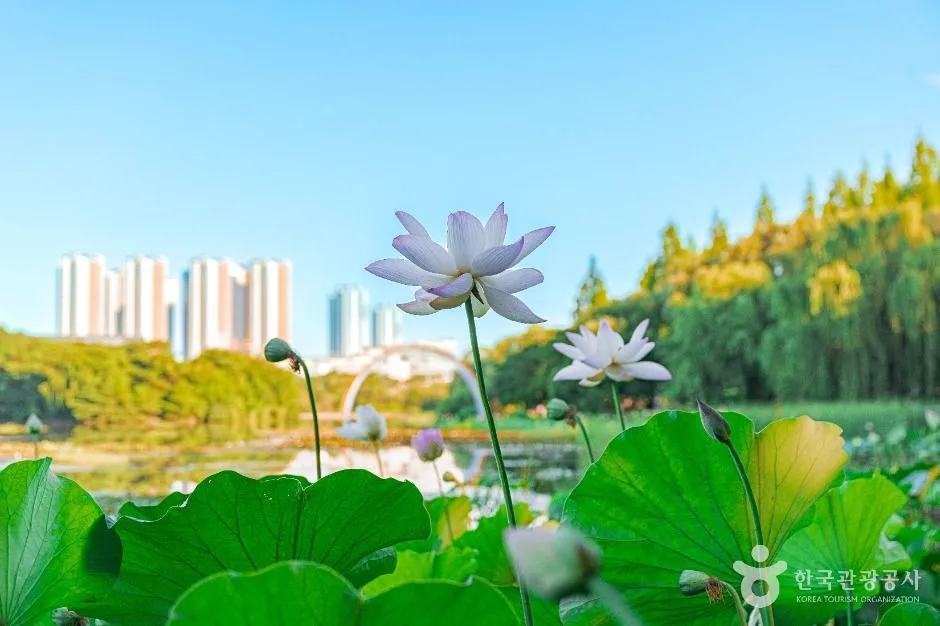 고양_일산호수공원 (3)