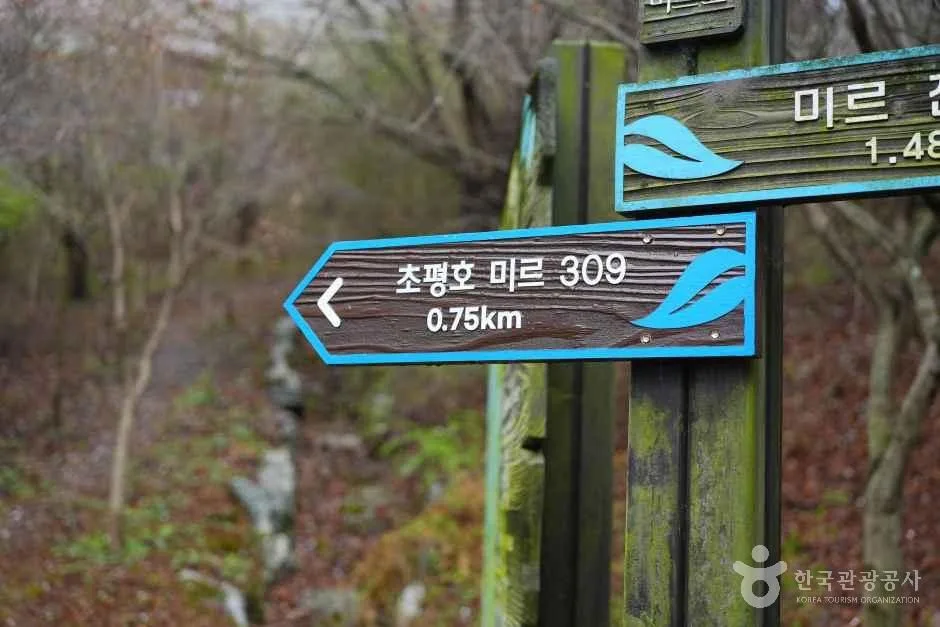 충북_진천_초평호 미르309 출렁다리_외부_2.JPG