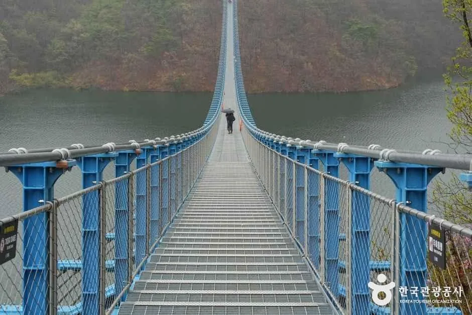 충북_진천_초평호 미르309 출렁다리_외부_3.JPG
