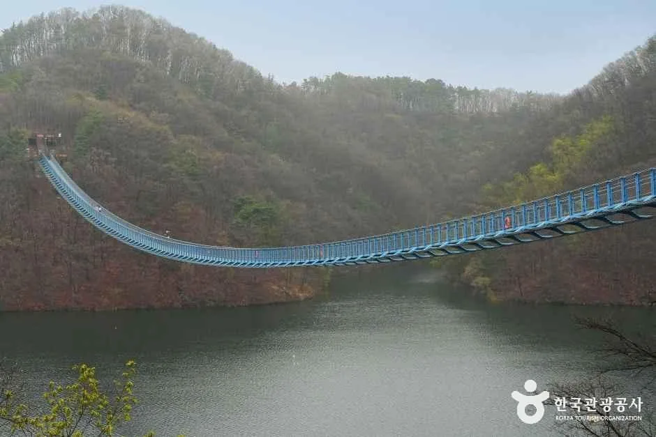 충북_진천_초평호 미르309 출렁다리_외부_5.JPG