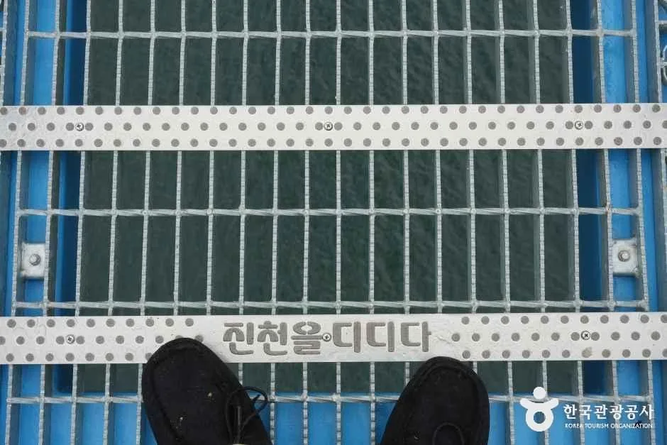 충북_진천_초평호 미르309 출렁다리_외부_4.JPG