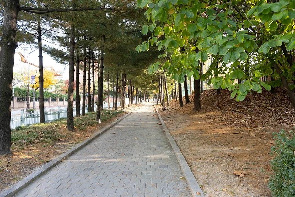 경기_성남시_태현공원 (5).jpg