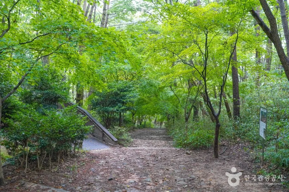부산_백양산 웰빙숲 (4)