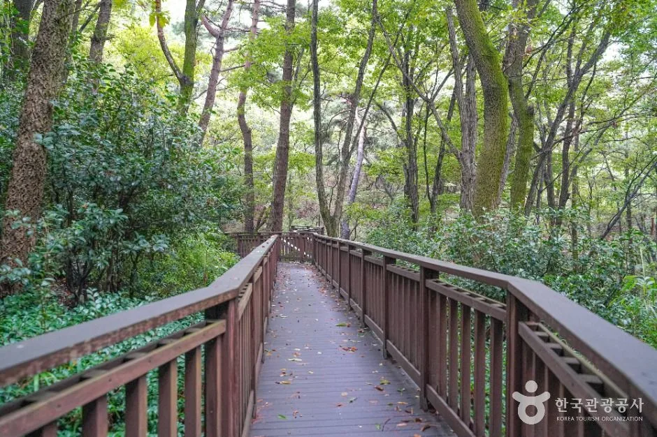 부산_백양산 웰빙숲 (5)