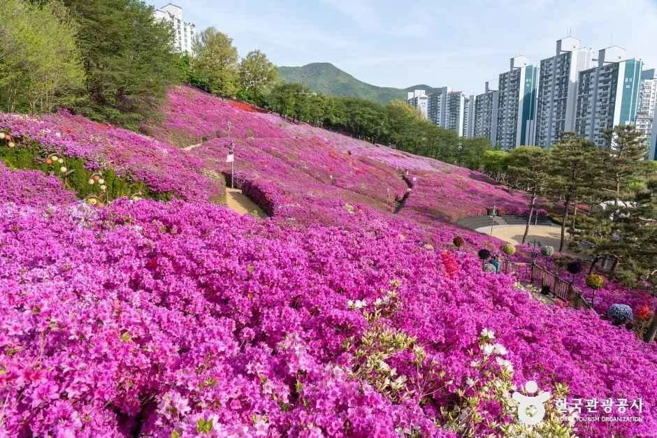 군포_철쭉동산 (1).jpg