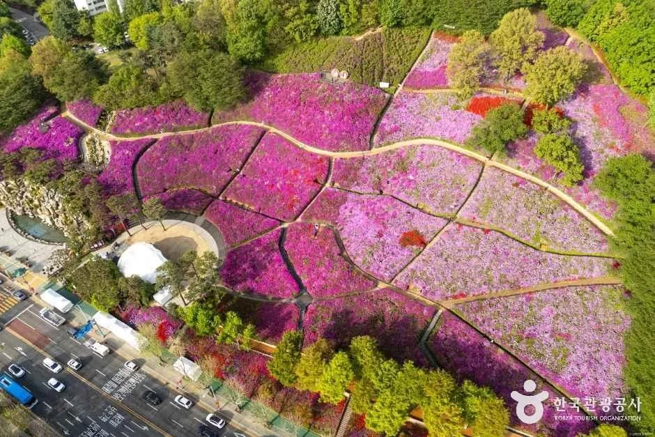군포_철쭉동산 (8).jpg