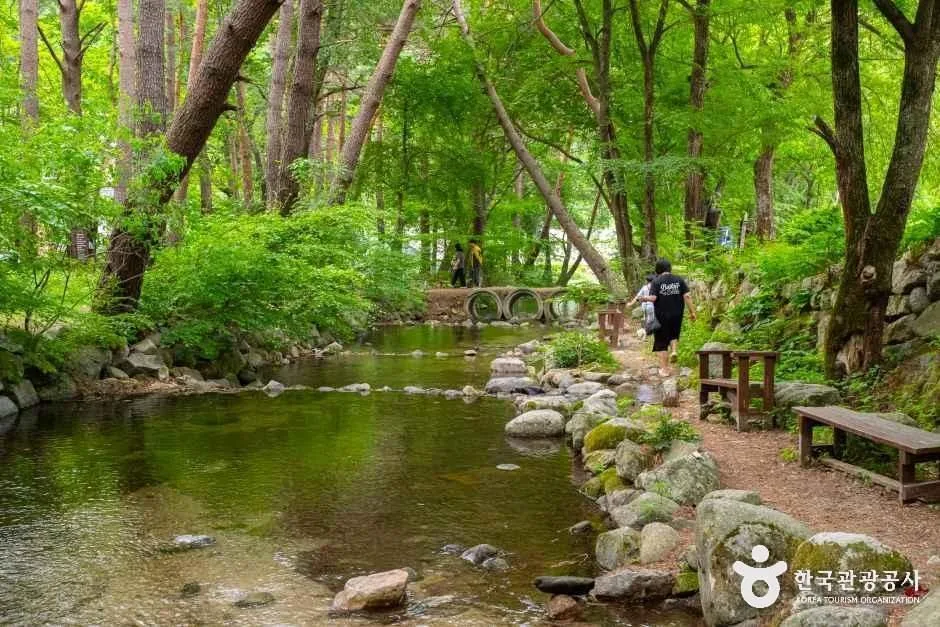 허브나라농원_10