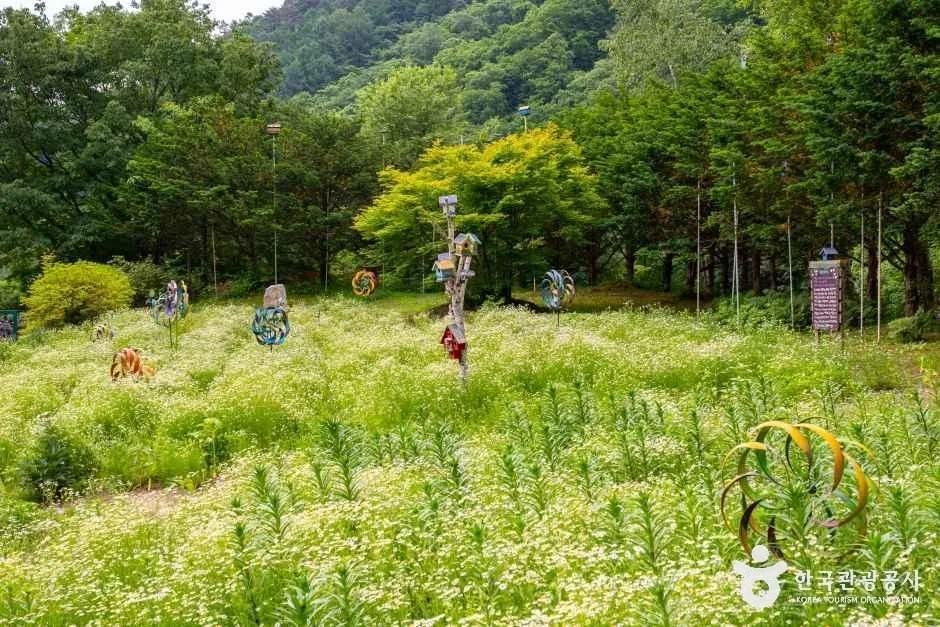 허브나라농원_5