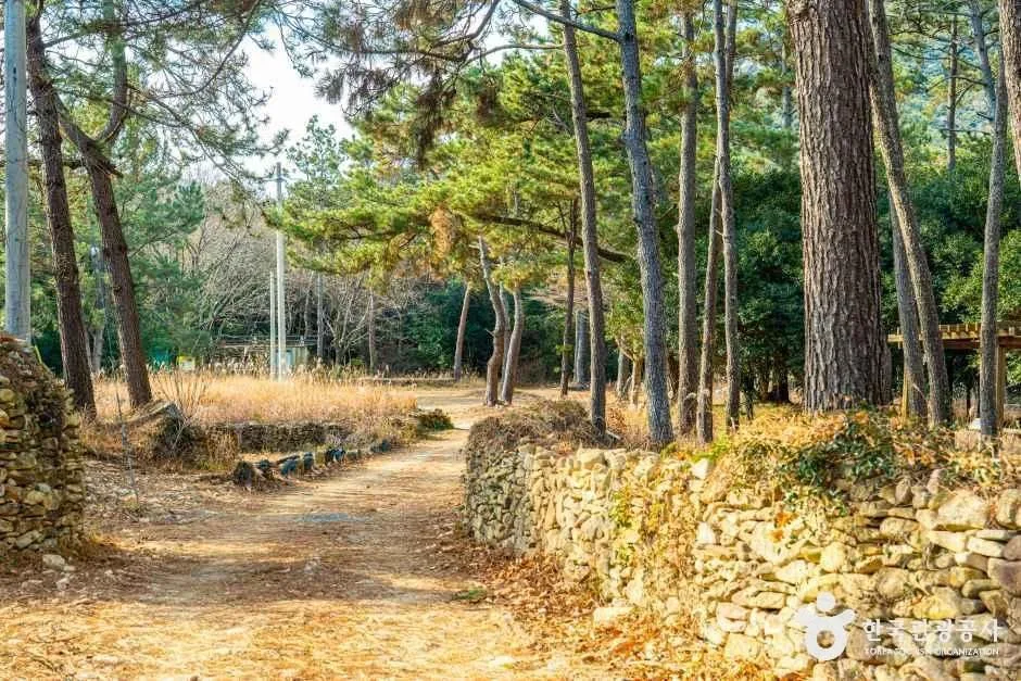 완도_고산 윤선도 문학체험공원 (6).jpg
